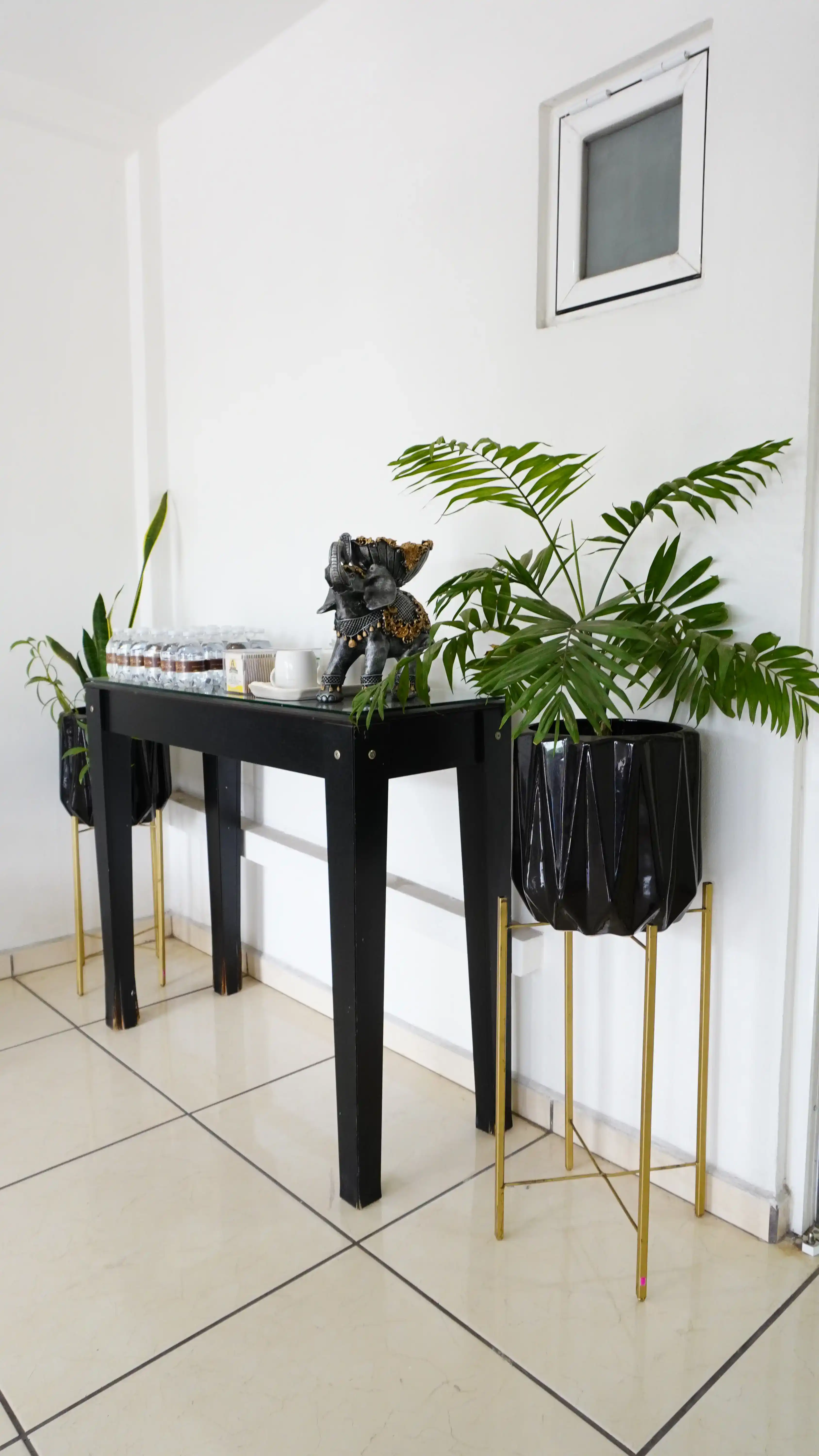 Sala con plantas decorativas