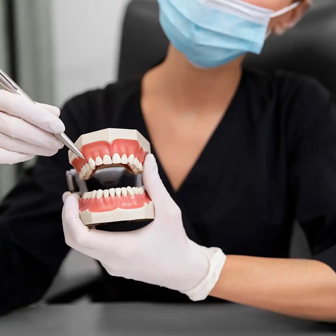 Prótesis Dental